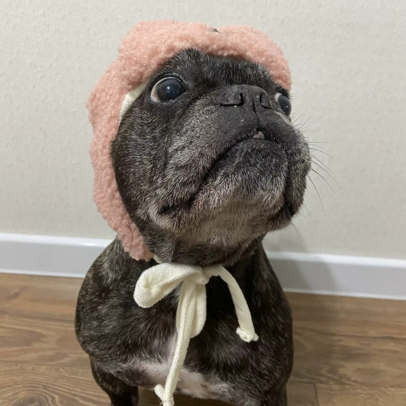 Frenchie Teddy Hat