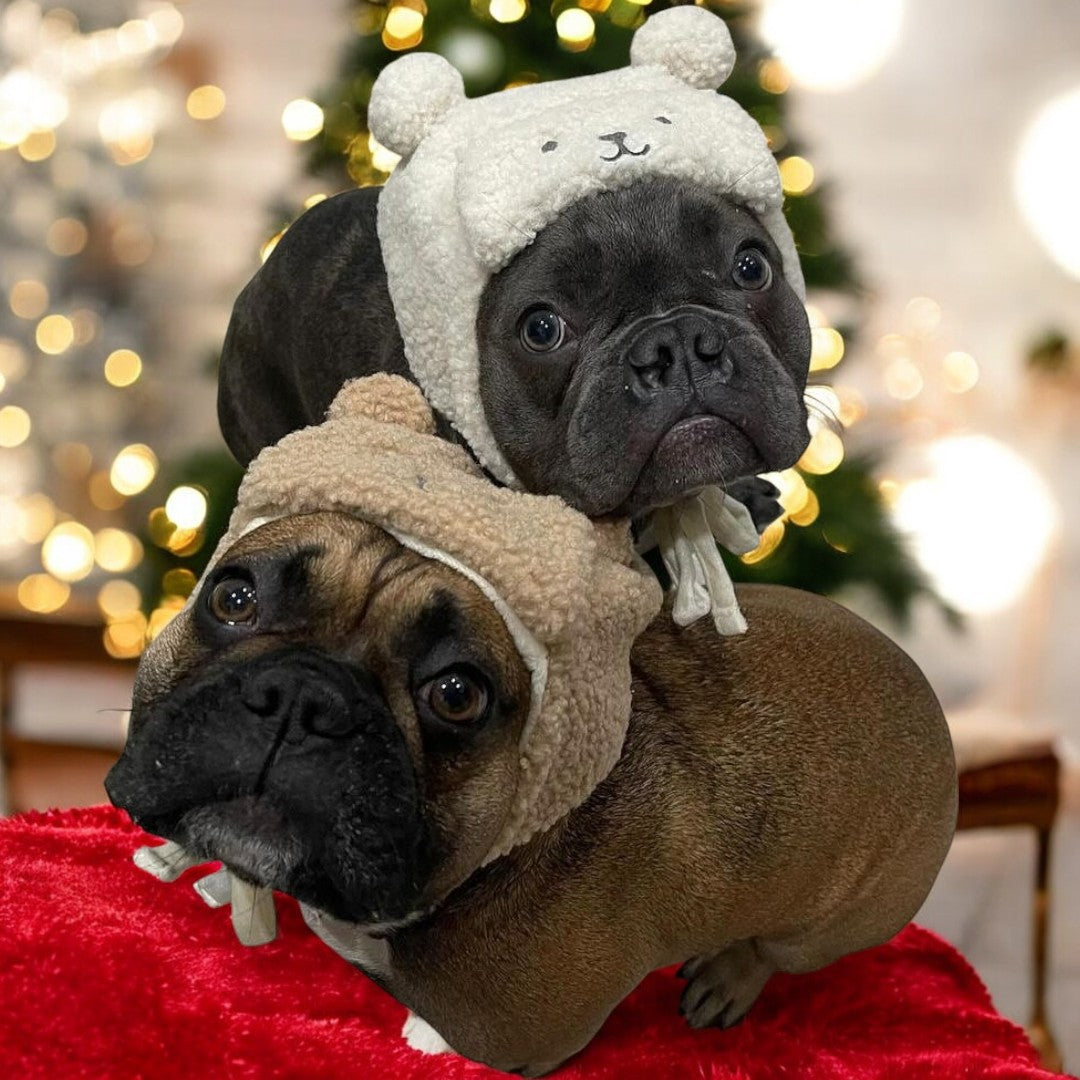 Frenchie Teddy Hat